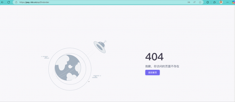 单笔查询的api页面打开是404-菜鸟论坛