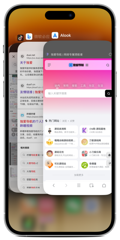 独爱导航-互联网引领者-菜鸟论坛